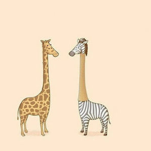 Meet your Posher, Melody